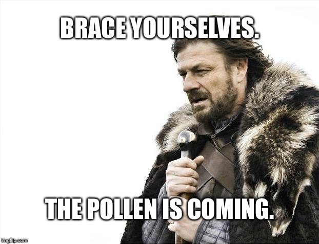 Brace Yourselves X is Coming Meme | BRACE YOURSELVES. THE POLLEN IS COMING. | image tagged in memes,brace yourselves x is coming | made w/ Imgflip meme maker