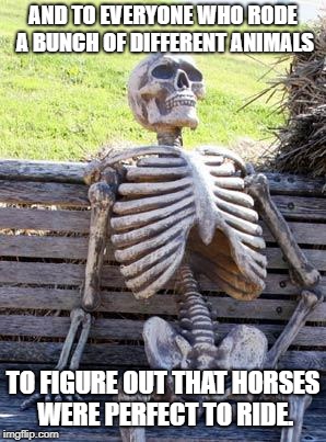 Waiting Skeleton Meme | AND TO EVERYONE WHO RODE A BUNCH OF DIFFERENT ANIMALS TO FIGURE OUT THAT HORSES WERE PERFECT TO RIDE. | image tagged in memes,waiting skeleton | made w/ Imgflip meme maker