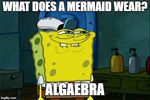 Don't You Squidward | WHAT DOES A MERMAID WEAR? ALGAEBRA | image tagged in memes,dont you squidward | made w/ Imgflip meme maker