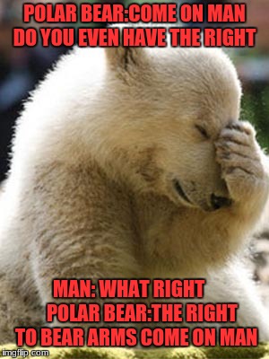 Facepalm Bear | POLAR BEAR:COME ON MAN DO YOU EVEN HAVE THE RIGHT; MAN: WHAT RIGHT 
     POLAR BEAR:THE RIGHT TO BEAR ARMS COME ON MAN | image tagged in memes,facepalm bear | made w/ Imgflip meme maker