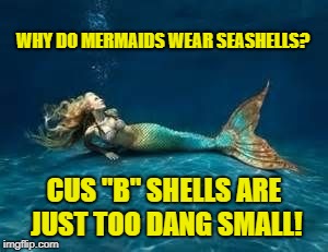 Mermaid  | WHY DO MERMAIDS WEAR SEASHELLS? CUS "B" SHELLS ARE JUST TOO DANG SMALL! | image tagged in mermaid | made w/ Imgflip meme maker