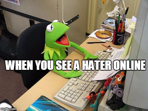 computer kermit | WHEN YOU SEE A HATER ONLINE | image tagged in computer kermit | made w/ Imgflip meme maker