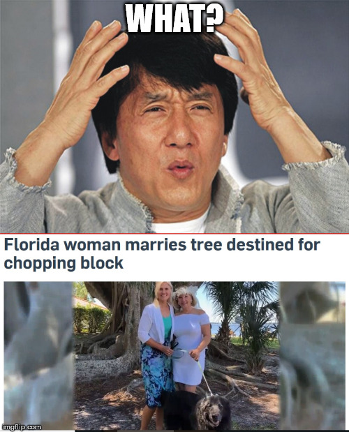 Meanwhile, in Florida... | WHAT? | image tagged in jackie chan wtf,memes,meanwhile in florida | made w/ Imgflip meme maker
