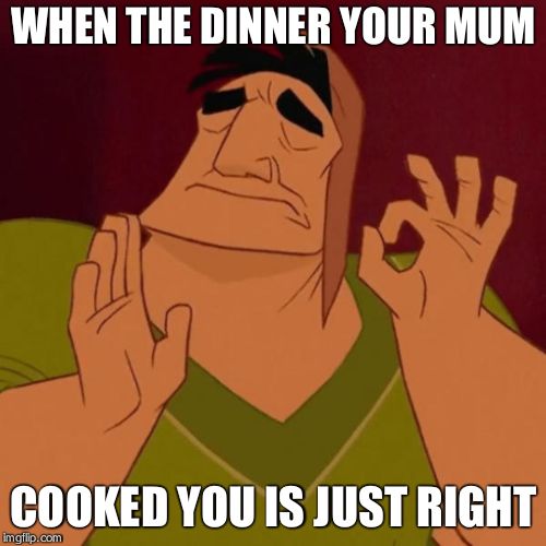 when the meme is just right | WHEN THE DINNER YOUR MUM; COOKED YOU IS JUST RIGHT | image tagged in when the meme is just right | made w/ Imgflip meme maker