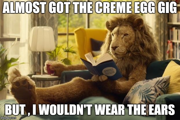 Lion relaxing | ALMOST GOT THE CREME EGG GIG BUT , I WOULDN'T WEAR THE EARS | image tagged in lion relaxing | made w/ Imgflip meme maker