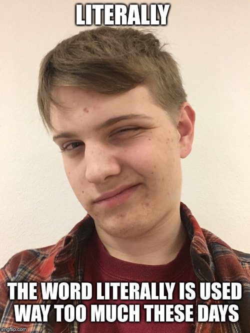 Literally  | LITERALLY; THE WORD LITERALLY IS USED WAY TOO MUCH THESE DAYS | image tagged in literally | made w/ Imgflip meme maker