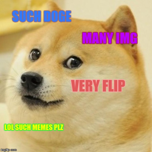 Doge | SUCH DOGE; MANY IMG; VERY FLIP; LOL SUCH MEMES PLZ | image tagged in memes,doge | made w/ Imgflip meme maker