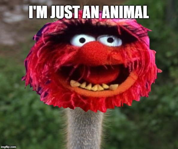 I'M JUST AN ANIMAL | made w/ Imgflip meme maker