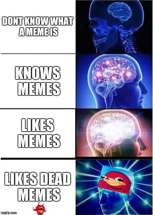 Expanding Brain | DONT KNOW WHAT A MEME IS; KNOWS MEMES; LIKES MEMES; LIKES DEAD MEMES | image tagged in memes,expanding brain | made w/ Imgflip meme maker