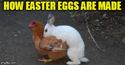 Easter eggs | HOW EASTER EGGS ARE MADE | image tagged in easter eggs | made w/ Imgflip meme maker