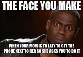 Kevin Hart | THE FACE YOU MAKE; WHEN YOUR MOM IS TO LAZY TO GET THE PHONE NEXT TO HER SO SHE ASKS YOU TO DO IT | image tagged in memes,kevin hart the hell | made w/ Imgflip meme maker