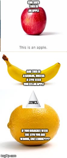 are apples bananas? | CNN SAYS THIS IS AN APPLE; AND THIS IS A BANANA, UNLESS A 17YO TELLS YOU ITS AN APPLE; IF YOU DISAGREE WITH THE 17YO YOU ARE WRONG, CUZ LEMON???? | image tagged in fake news | made w/ Imgflip meme maker