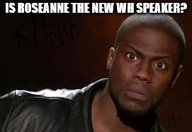 I didn't see it coming | IS ROSEANNE THE NEW WH SPEAKER? | image tagged in memes | made w/ Imgflip meme maker