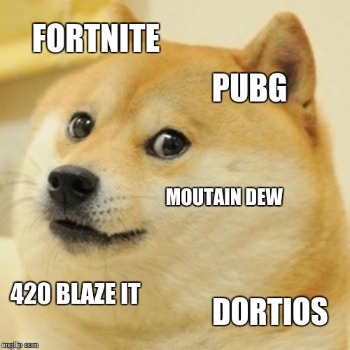 Doge Meme | FORTNITE; PUBG; MOUTAIN DEW; 420 BLAZE IT; DORTIOS | image tagged in memes,doge | made w/ Imgflip meme maker
