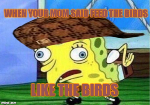 Mocking Spongebob | WHEN YOUR MOM SAID FEED THE BIRDS; LIKE THE BIRDS | image tagged in memes,mocking spongebob,scumbag | made w/ Imgflip meme maker