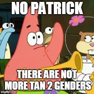 No Patrick Meme | NO PATRICK; THERE ARE NOT MORE TAN 2 GENDERS | image tagged in memes,no patrick | made w/ Imgflip meme maker