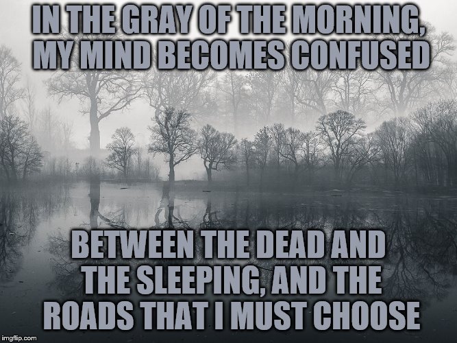 IN THE GRAY OF THE MORNING, MY MIND BECOMES CONFUSED BETWEEN THE DEAD AND THE SLEEPING, AND THE ROADS THAT I MUST CHOOSE | made w/ Imgflip meme maker