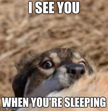 I SEE YOU; WHEN YOU'RE SLEEPING | image tagged in i can see you | made w/ Imgflip meme maker