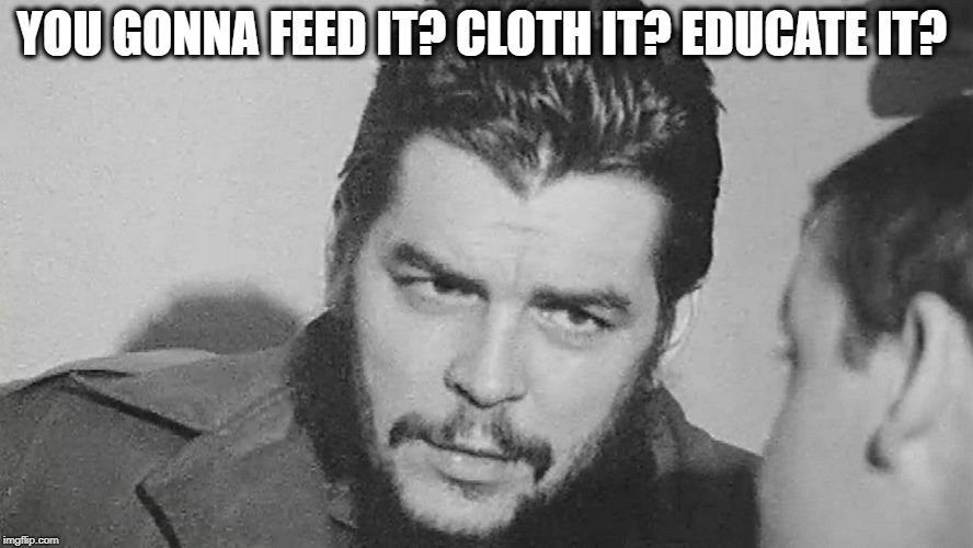 Che | YOU GONNA FEED IT? CLOTH IT? EDUCATE IT? | image tagged in che | made w/ Imgflip meme maker