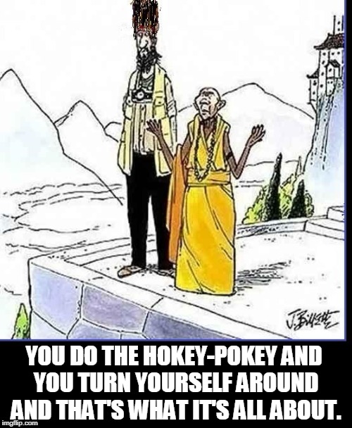 What is the Meaning of It All? | YOU DO THE HOKEY-POKEY AND YOU TURN YOURSELF AROUND AND THAT'S WHAT IT'S ALL ABOUT. | image tagged in vince vance,top of the mountain,attaining wisdom from the guru,reaching the top of the summit,hokey pokey,wisdom of the ages | made w/ Imgflip meme maker