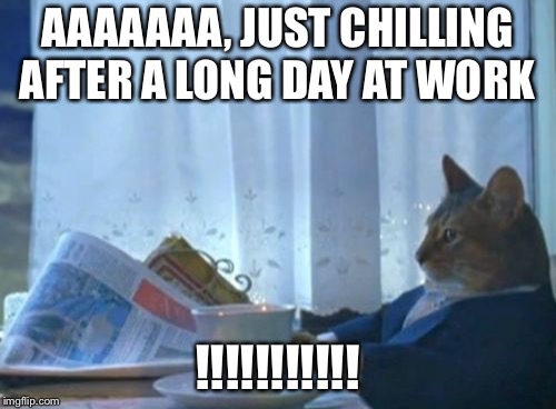 I Should Buy A Boat Cat Meme | AAAAAAA, JUST CHILLING AFTER A LONG DAY AT WORK; !!!!!!!!!!! | image tagged in memes,i should buy a boat cat | made w/ Imgflip meme maker