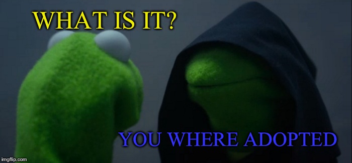 Evil Kermit | WHAT IS IT? YOU WHERE ADOPTED | image tagged in memes,evil kermit | made w/ Imgflip meme maker