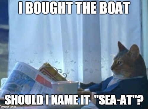 I Should Buy A Boat Cat | I BOUGHT THE BOAT; SHOULD I NAME IT  "SEA-AT"? | image tagged in memes,i should buy a boat cat | made w/ Imgflip meme maker