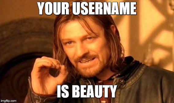 One Does Not Simply Meme | YOUR USERNAME IS BEAUTY | image tagged in memes,one does not simply | made w/ Imgflip meme maker