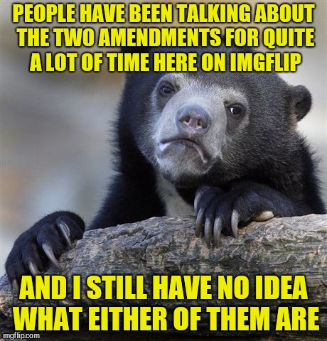 Confession Bear Meme | PEOPLE HAVE BEEN TALKING ABOUT THE TWO AMENDMENTS FOR QUITE A LOT OF TIME HERE ON IMGFLIP AND I STILL HAVE NO IDEA WHAT EITHER OF THEM ARE | image tagged in memes,confession bear | made w/ Imgflip meme maker