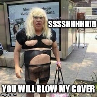 SSSSHHHHH!!! YOU WILL BLOW MY COVER | made w/ Imgflip meme maker