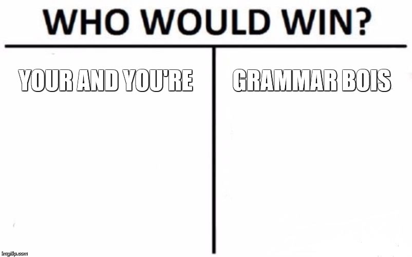Who Would Win? Meme | YOUR AND YOU'RE GRAMMAR BOIS | image tagged in memes,who would win | made w/ Imgflip meme maker