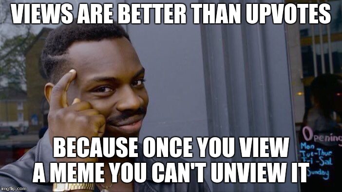 Think about it... | VIEWS ARE BETTER THAN UPVOTES; BECAUSE ONCE YOU VIEW A MEME YOU CAN'T UNVIEW IT | image tagged in memes,roll safe think about it,memes about memeing | made w/ Imgflip meme maker