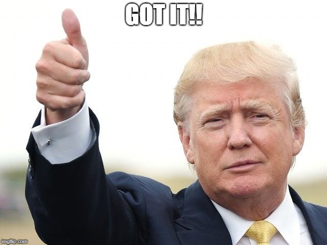 Trump thumb up | GOT IT!! | image tagged in trump thumb up | made w/ Imgflip meme maker