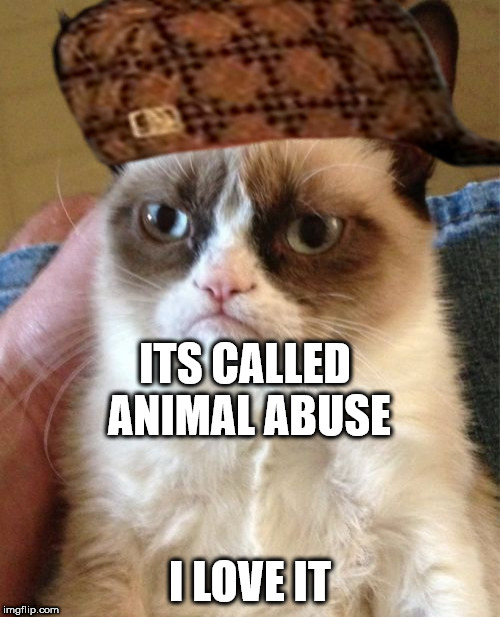 Grumpy Cat | ITS CALLED ANIMAL ABUSE; I LOVE IT | image tagged in memes,grumpy cat,scumbag | made w/ Imgflip meme maker