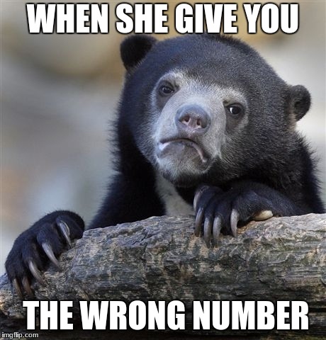 Confession Bear | WHEN SHE GIVE YOU; THE WRONG NUMBER | image tagged in memes,confession bear | made w/ Imgflip meme maker