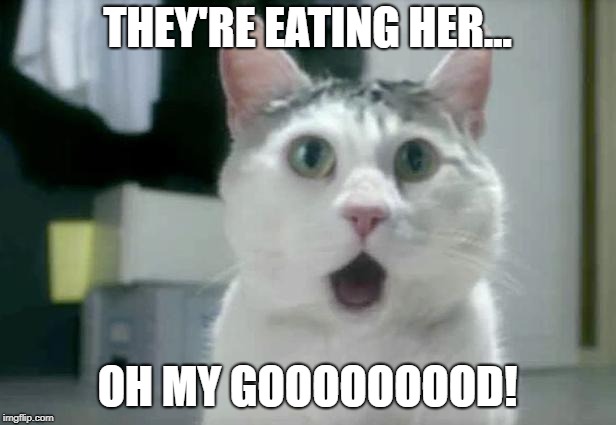 OMG Cat Meme | THEY'RE EATING HER... OH MY GOOOOOOOOD! | image tagged in memes,omg cat | made w/ Imgflip meme maker