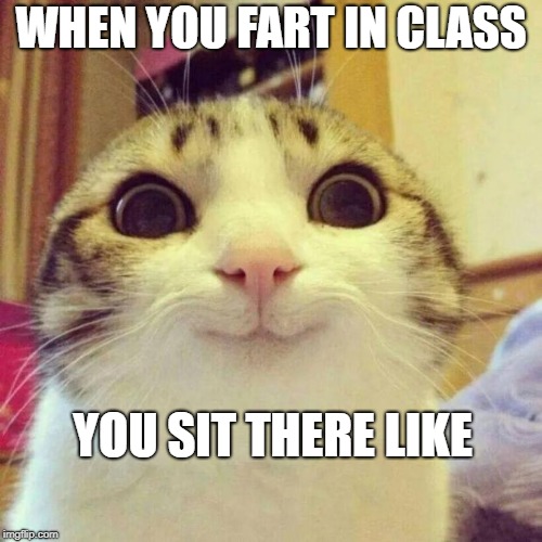When you fart | WHEN YOU FART IN CLASS; YOU SIT THERE LIKE | image tagged in memes,smiling cat | made w/ Imgflip meme maker