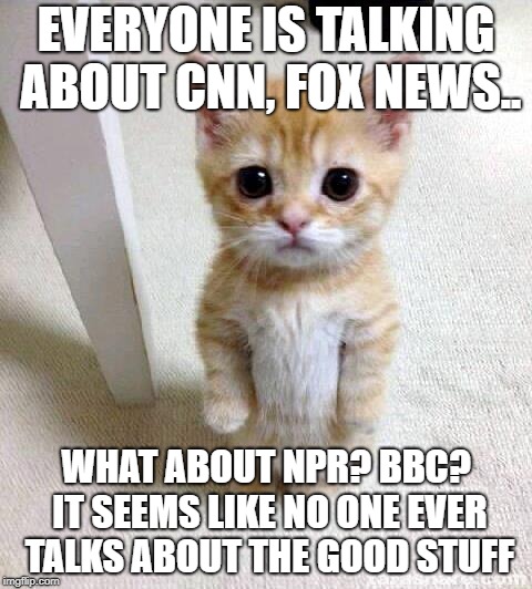 Cute Cat | EVERYONE IS TALKING ABOUT CNN, FOX NEWS.. WHAT ABOUT NPR? BBC? IT SEEMS LIKE NO ONE EVER TALKS ABOUT THE GOOD STUFF | image tagged in memes,cute cat,npr,bbc,why,funny | made w/ Imgflip meme maker