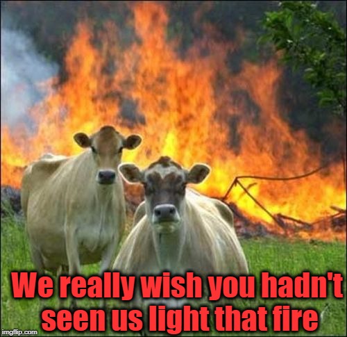 I won't tell! I swear!! | We really wish you hadn't seen us light that fire | image tagged in memes,evil cows | made w/ Imgflip meme maker