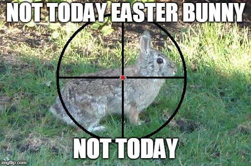 Not today Easter Bunny, Not today | NOT TODAY EASTER BUNNY; NOT TODAY | image tagged in not today easter bunny not today | made w/ Imgflip meme maker