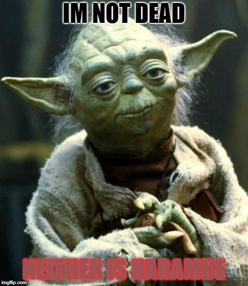 Star Wars Yoda | IM NOT DEAD; NEITHER IS HARAMBE | image tagged in memes,star wars yoda | made w/ Imgflip meme maker