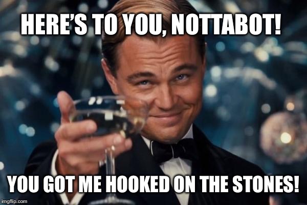 HERE’S TO YOU, NOTTABOT! YOU GOT ME HOOKED ON THE STONES! | image tagged in memes,leonardo dicaprio cheers | made w/ Imgflip meme maker