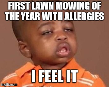 I feel it | FIRST LAWN MOWING OF THE YEAR WITH ALLERGIES; I FEEL IT | image tagged in i feel it | made w/ Imgflip meme maker