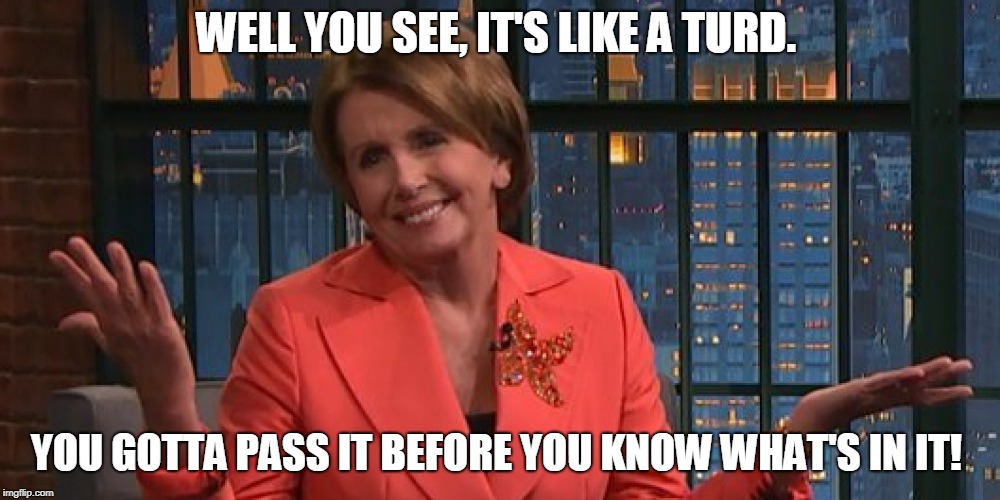 WELL YOU SEE, IT'S LIKE A TURD. YOU GOTTA PASS IT BEFORE YOU KNOW WHAT'S IN IT! | image tagged in pelosi,turd face | made w/ Imgflip meme maker