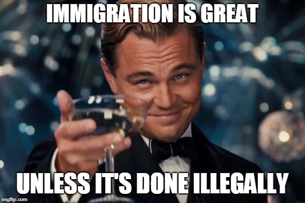 Leonardo Dicaprio Cheers Meme | IMMIGRATION IS GREAT UNLESS IT'S DONE ILLEGALLY | image tagged in memes,leonardo dicaprio cheers | made w/ Imgflip meme maker