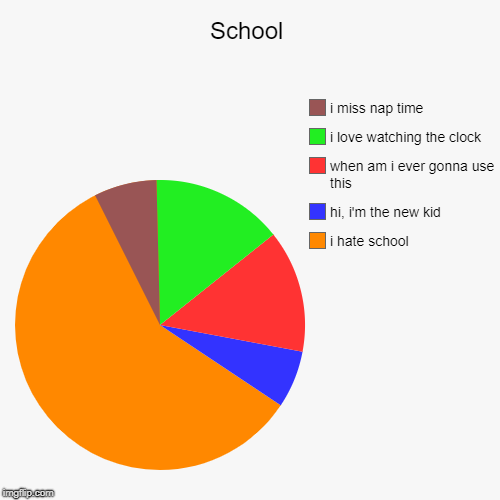 School | i hate school, hi, i'm the new kid, when am i ever gonna use this, i love watching the clock, i miss nap time | image tagged in funny,pie charts | made w/ Imgflip chart maker