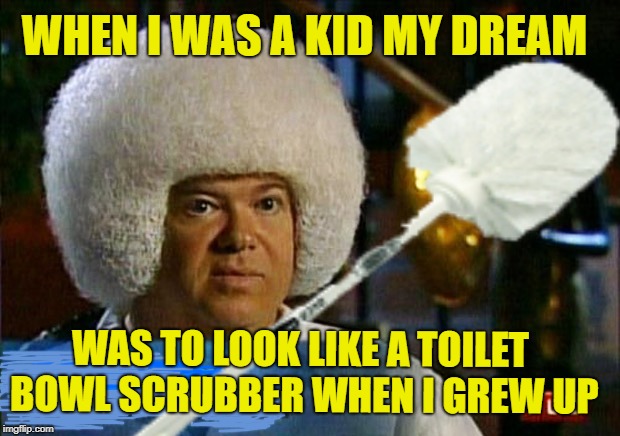 Toilet Cleaner Head | WHEN I WAS A KID MY DREAM; WAS TO LOOK LIKE A TOILET BOWL SCRUBBER WHEN I GREW UP | image tagged in funny memes,crazy,toilet | made w/ Imgflip meme maker