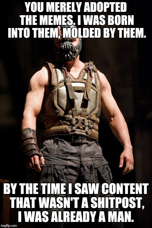 Bane meme | YOU MERELY ADOPTED THE MEMES. I WAS BORN INTO THEM, MOLDED BY THEM. BY THE TIME I SAW CONTENT THAT WASN'T A SHITPOST, I WAS ALREADY A MAN. | image tagged in bane meme | made w/ Imgflip meme maker