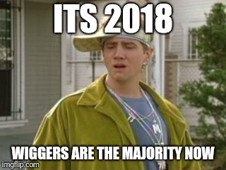 Malibu  | ITS 2018; WIGGERS ARE THE MAJORITY NOW | image tagged in malibu | made w/ Imgflip meme maker