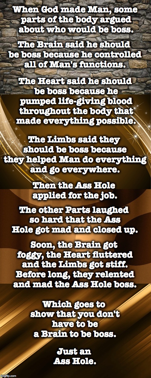 The Gods' Truth!!! | When God made Man, some parts of the body argued about who would be boss. The Brain said he should be boss because he controlled all of Man's functions. The Heart said he should be boss because he pumped life-giving blood throughout the body that made everything possible. The Limbs said they should be boss because they helped Man do everything and go everywhere. Then the Ass Hole applied for the job. The other Parts laughed so hard that the Ass Hole got mad and closed up. Soon, the Brain got foggy, the Heart fluttered and the Limbs got stiff. Before long, they relented and mad the Ass Hole boss. Which goes to show that you don't have to be a Brain to be boss. Just an Ass Hole. | image tagged in boss | made w/ Imgflip meme maker